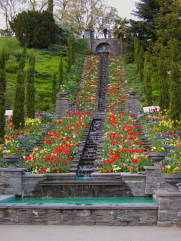 Mainau Kaskade Foto 