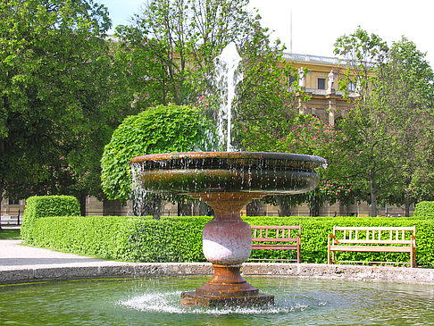 Foto Brunnen im Hofgarten