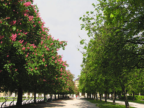 Fotos Hofgarten | München