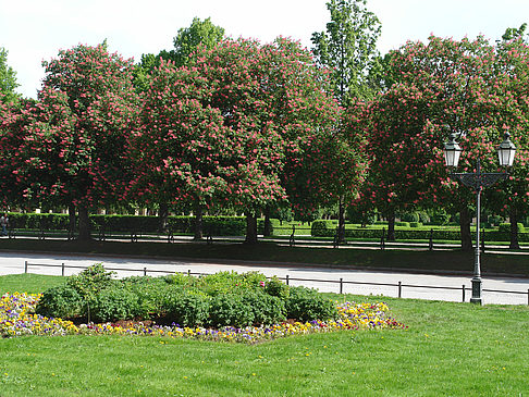 Fotos Hofgarten