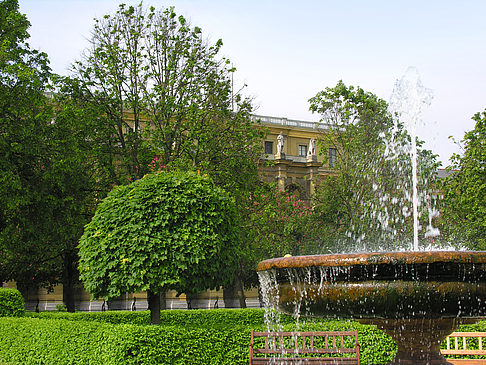 Foto Hofgarten - München