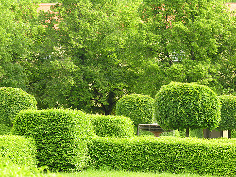 Fotos Hofgarten