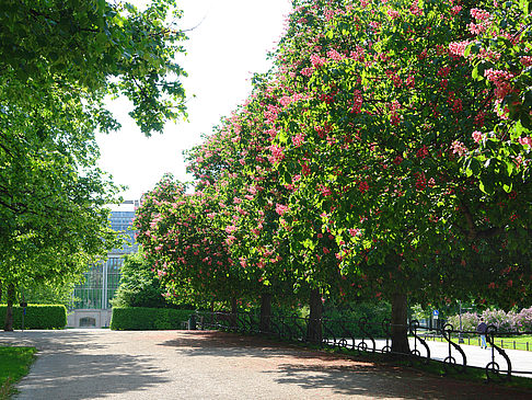 Fotos Hofgarten | München