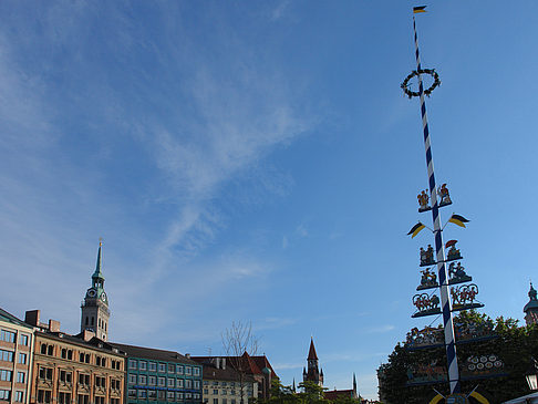 Foto Viktualienmarkt - München