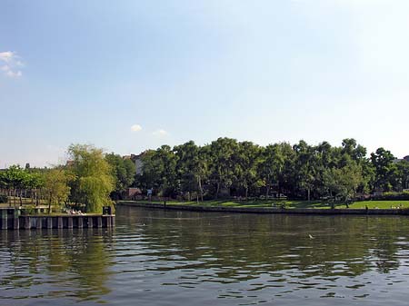 Wiese an der Spree - Berlin (Berlin)