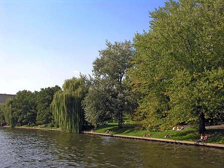 Wiese an der Spree - Berlin (Berlin)