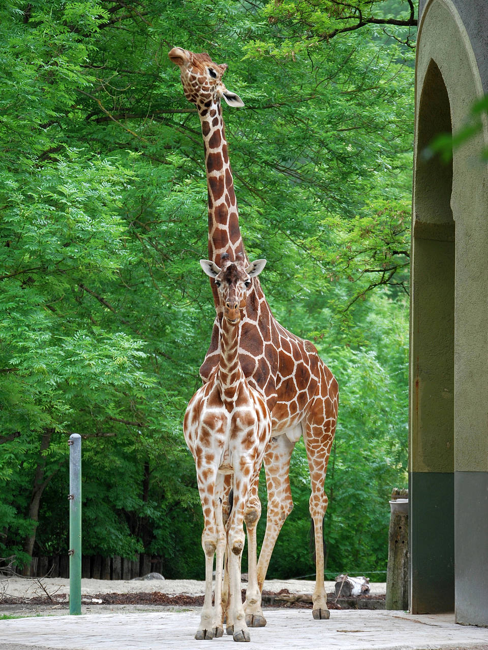 Tierpark Hellabrunn  Impressionen von Citysam  