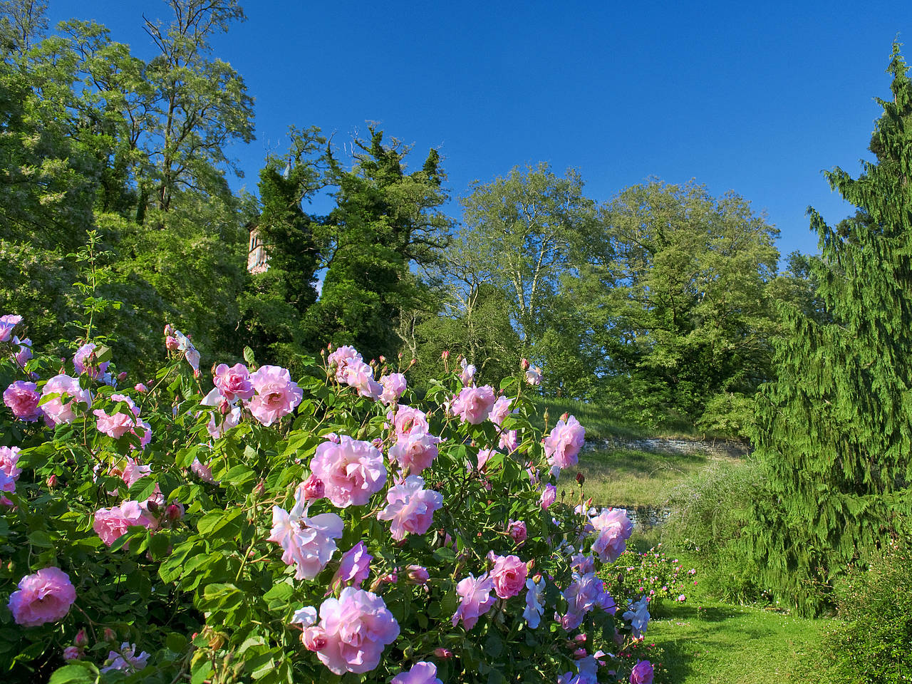 Foto Mainau