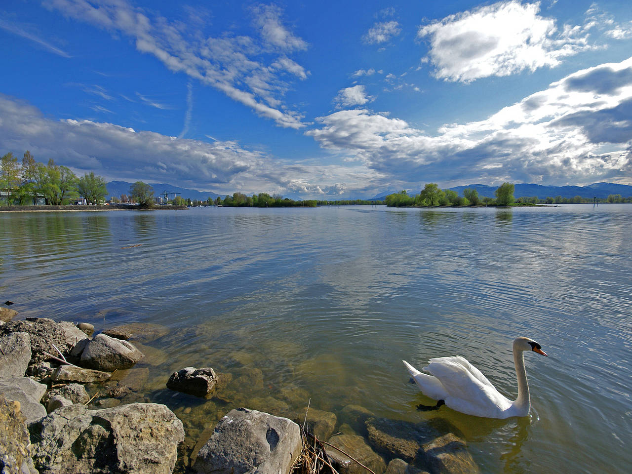 Fotos Bodensee