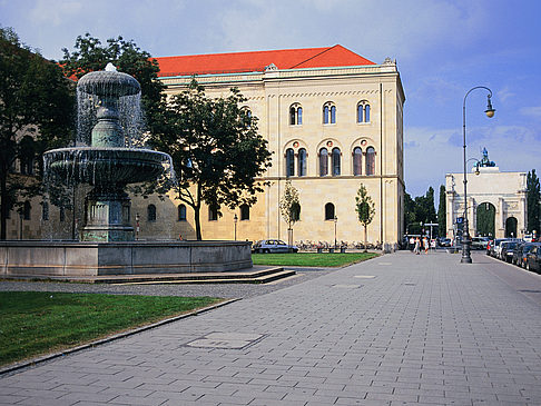 Universität