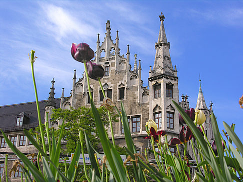 Foto Neues Rathaus - München