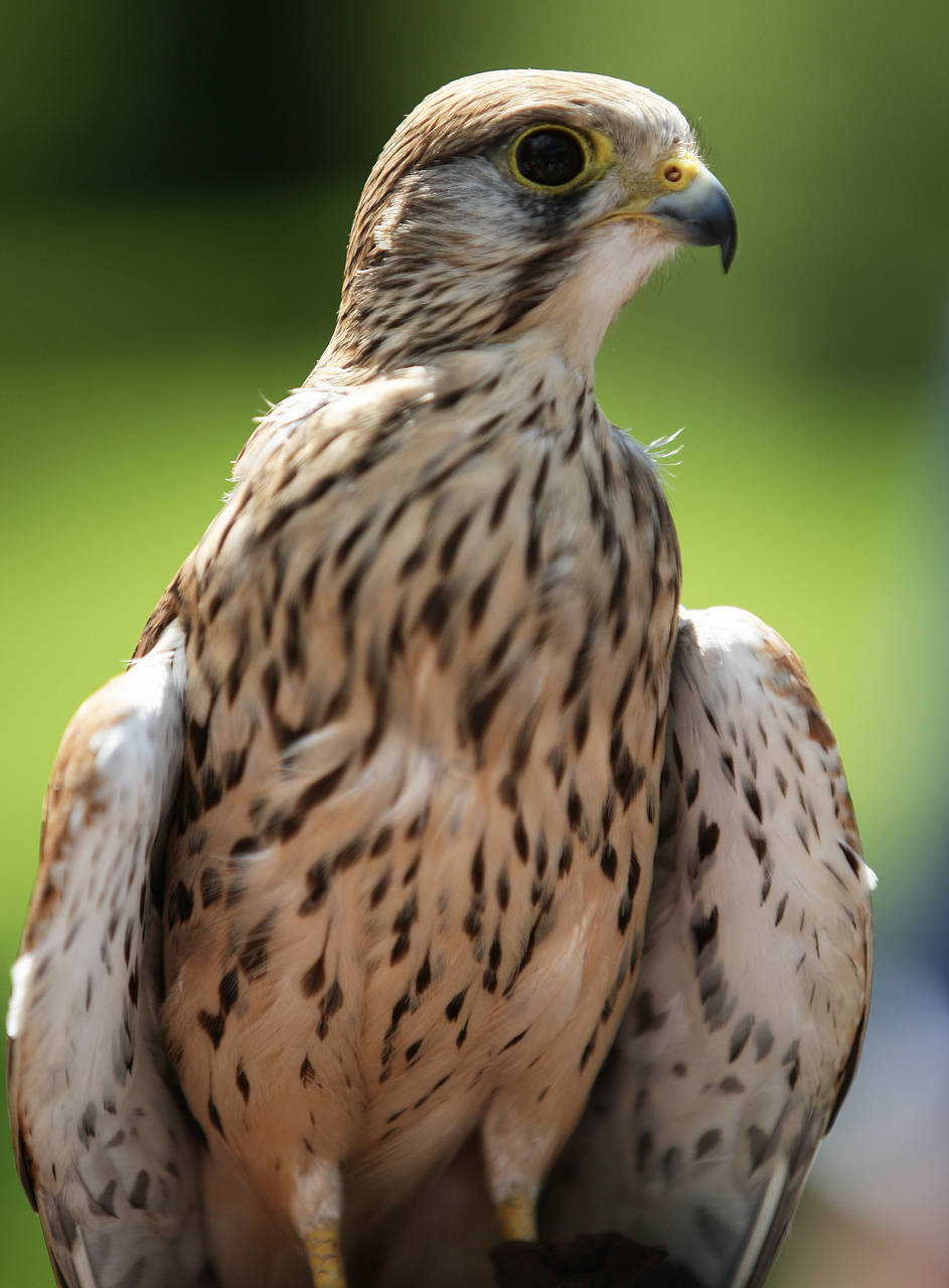 Foto Tierpark Hellabrunn 