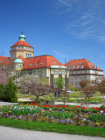 Botanischer Garten - Bayern (München)